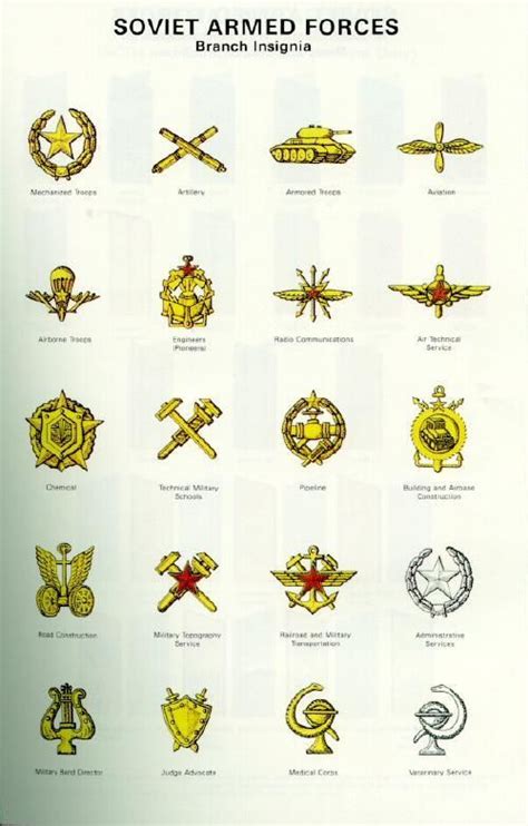 De 25 Bästa Military Ranks And Insignia Bilderna På Pinterest Märken