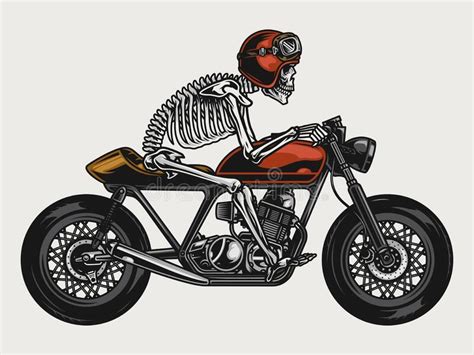Skeleton Racer Riding Brat Style Motorcycle Stock Vector Illustration