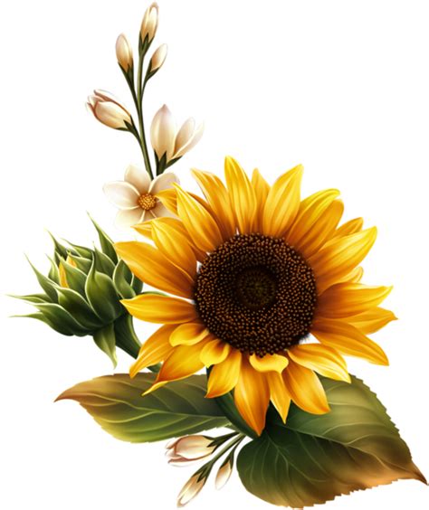 Download Sunflower Flag Clipart Transparent Png Download Seekpng