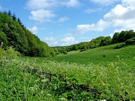 Wildife Trusts Britains Grasslands Face Greatest Ever Threat From