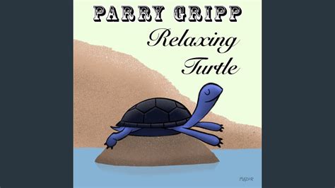 Relaxing Turtle Youtube