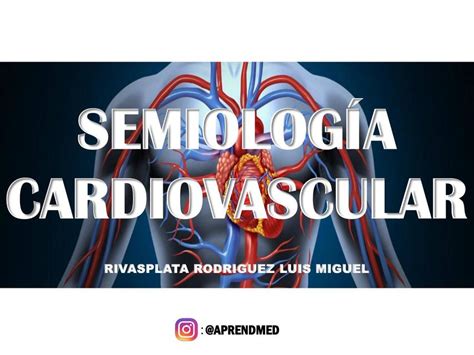 SemiologÍa Cardiovascular Salud Resúmenes De Medicina Udocz