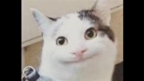 Beluga Cat Face Reveal Youtube