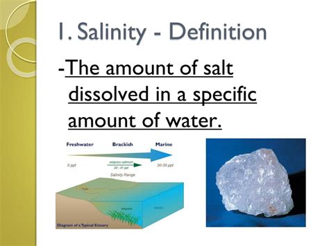 Ppt Grade 8 Science Powerpoint Presentation Free Download Id2294394