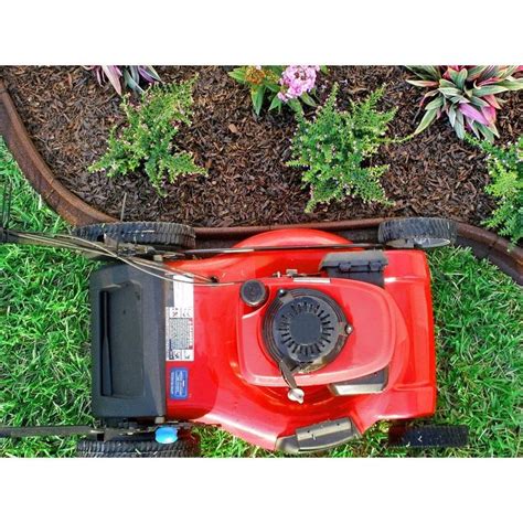 We did not find results for: Vigoro EcoBorder 4 ft. Brown Rubber Landscape Edging (6 ...
