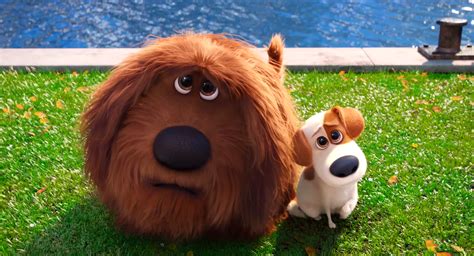 Check out our editors' picks for the best movies and shows coming this month. Movie on the Square "The Secret Life of Pets" - Kid 101
