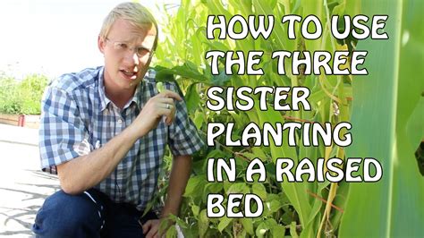 Companion planting is a useful gardening technique of growing certain veggies together to take advantage of their natural tendencies and relationships. How To Use The Three Sisters Planting In Raised Beds - YouTube