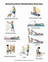 Images of Hamstring Exercises