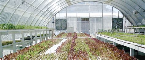 Round Prem Corrugated Greenhouses Growspan