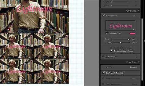 The Ultimate Guide To Adobe Photoshop Lightroom 2