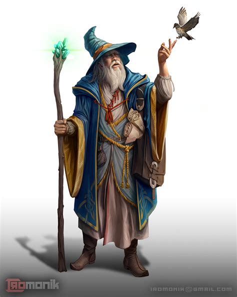 Art Human Wizard Character Art Dnd
