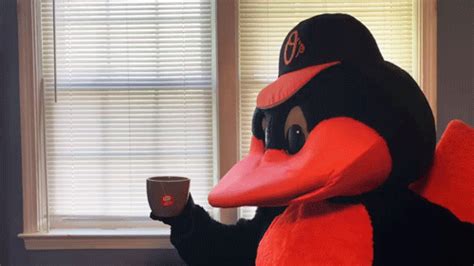 Kermit The Frog Sipping Tea  By Baltimore Orioles Find And Share On
