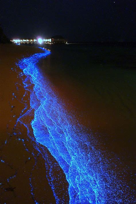 Amazing Sea Of Stars Lights Up Maldives Beach Places To Travel