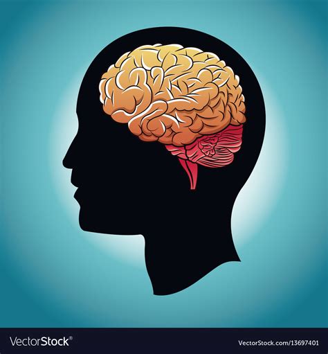 Profile Head Brain Human Royalty Free Vector Image