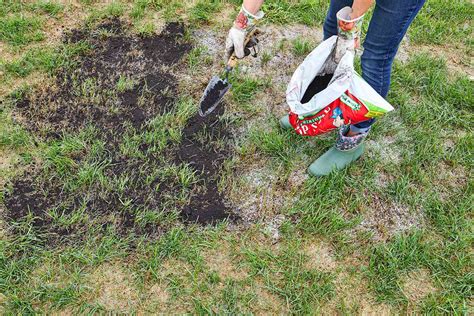 How To Repair Patchy Spots In Your Lawn Better Homes And Gardens