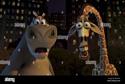 Film Still Publicity Still From Madagascar Gloria The Hippo Melman The Giraffe Dream