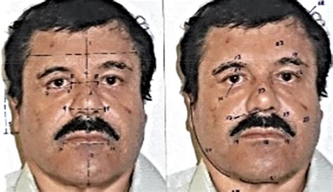 Chilango Los Narcocorridos Por La Captura Del Chapo