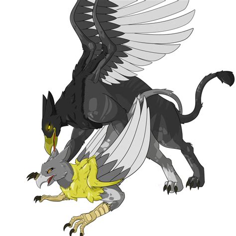 Rule 34 Anal Anal Sex Avian Colocon1 Cum Feral Gryphon Male