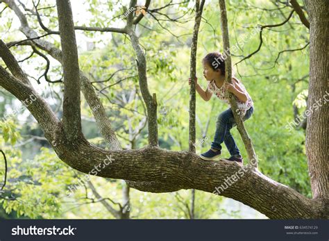 Happy Little Girl Climbing Tree Stock Photo 634574129 Shutterstock