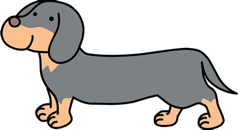 Dachshund Dog Clipart Free Download Transparent Png Creazilla