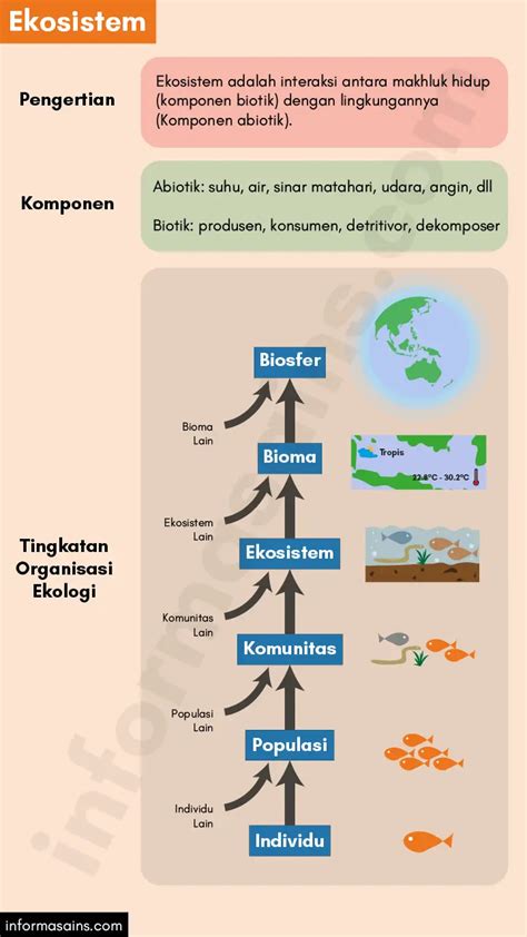 Ekosistem Pengertian Komponen Dan Interaksi Dalam Eko Vrogue Co
