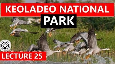 Keoladeo Natioinal Park UNESCO World Heritage Site Of India Free PDF