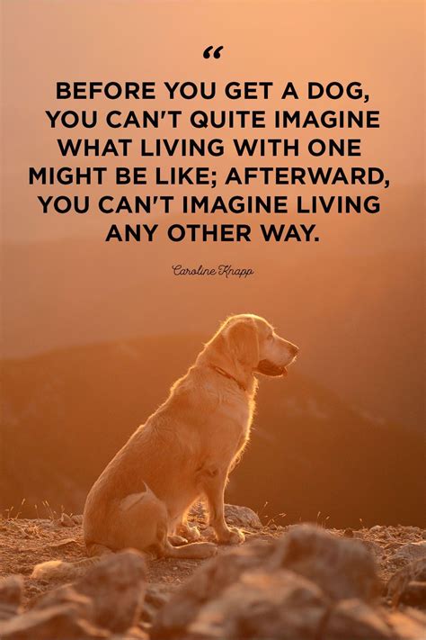 Quotes On Dog Love Wall Leaflets