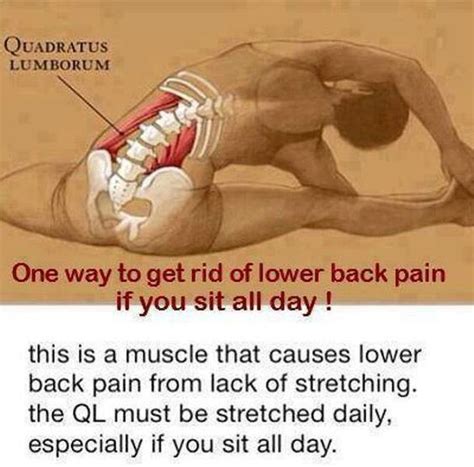 Pin On Back Pain Info