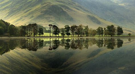 Buttermere Pines Lake District Lake District England Beautiful Lakes