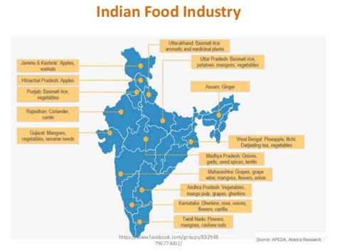 Food service companies in india. Food industry in India 2015