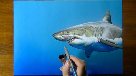 Great White Shark Color 548 best images about great white sharks two on pinterest