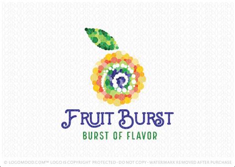 Fruit Burst Buy Premade Readymade Logos For Sale