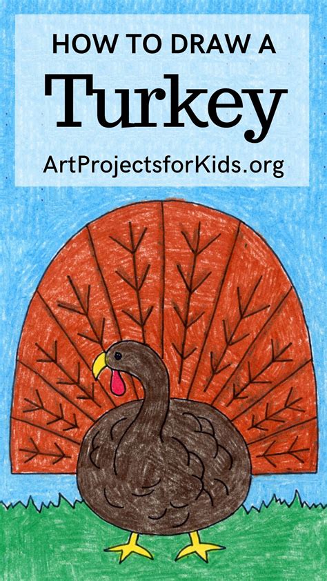 Easy How To Draw Turkey Tutorial And Turkey Coloring Page