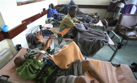 over dozen dead as cholera outbreak hits zimbabwe s capital