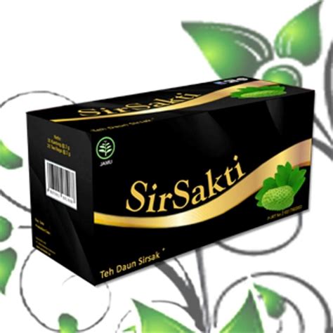 Pemanenan daun segar proses pemanenan dilakukan pagi hari, dipilih daun segar berwarna hijau tua tanpa cacat dari tanaman yang berumur lebih dari 3 tahun. Cara Mengolah Daun Kelor Untuk Kanker / Cara Mengolah Daun ...