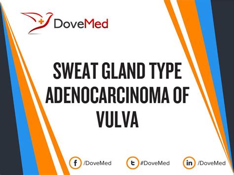 Sweat Gland Type Adenocarcinoma Of Vulva