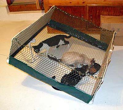 How to bait trap resistant cats. Feral Cat Management/TNR Folding Drop Trap/Remote Control Trap