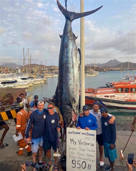 Record Payout In Blue Marlin World Cup Coastal Angler The
