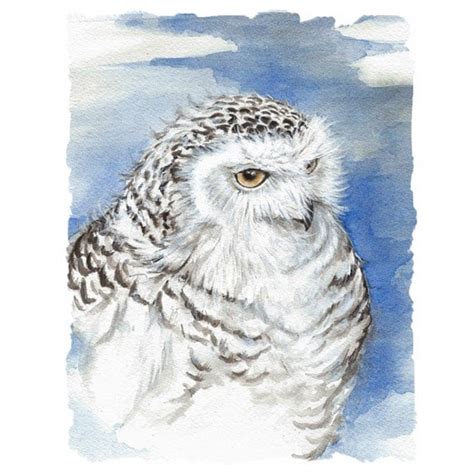 Watercolor Snowy Owl Bird Art By Jenniferrlloyd On Etsy