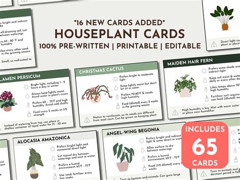Plant Care Cards Plant Labels Indoor Printable Plant Care