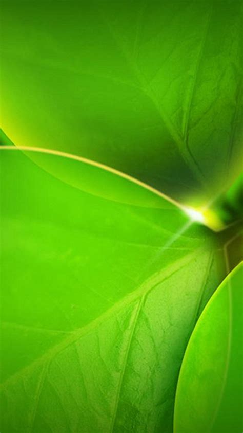 Free Download Green Leafs Htc One Wallpaper Best Htc One Wallpapers