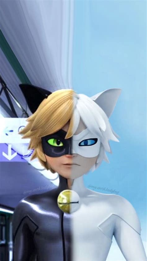Chat Blanc Miraculous Streaming Automasites