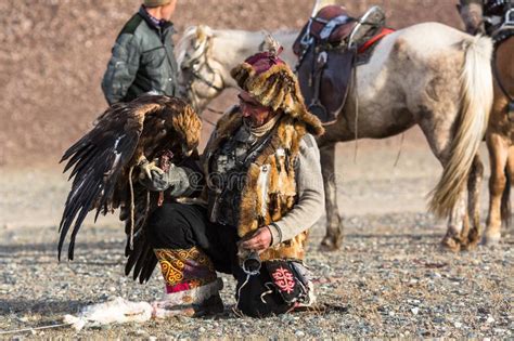 Berkutchi Kazakh Hunter With Golden Eagle While Hunting To The Hare