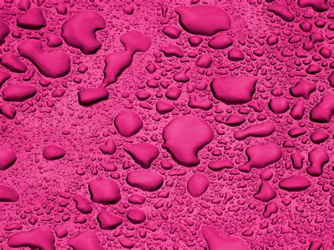 Pink Background Water Droplets Free Stock Photo Public Domain Pictures