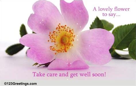 Take Care And Get Well Soon Free Get Well Soon Ecards