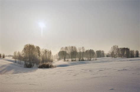 Winter Scene Of Snowy Field With Trees In A Distance And Low Sun Above