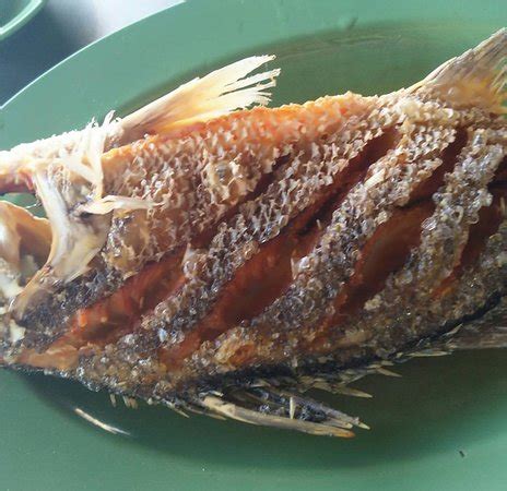 Ikan bakar adalah hidangan ikan yang dibakar atau dipanggang di atas api atau bara api. Ana Ikan Bakar Petai, Kuantan - Restaurant Reviews, Photos ...