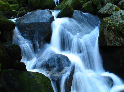 Triberg Waterfalls Behind The Scenes Virtual Coo