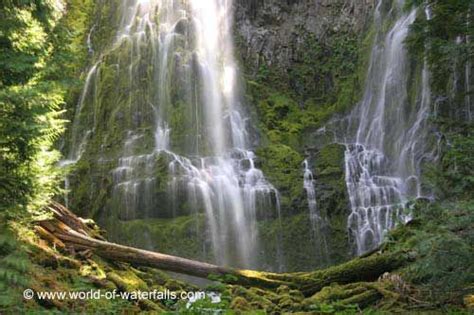 Proxy Falls Willamette National Forest Three Sisters Wilderness