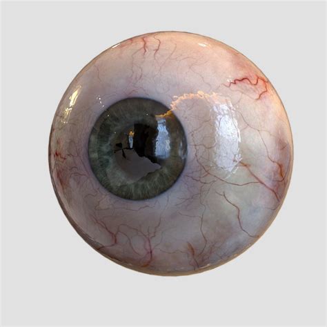 3d Human Eye Realistic Cgtrader